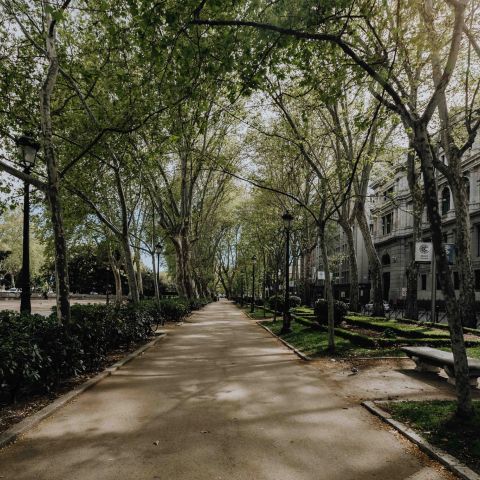 The Ensley quiet tree-lined street with Greenway